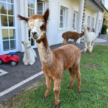 Apartamenty Gora Neustadt in Westpreußen Exterior foto