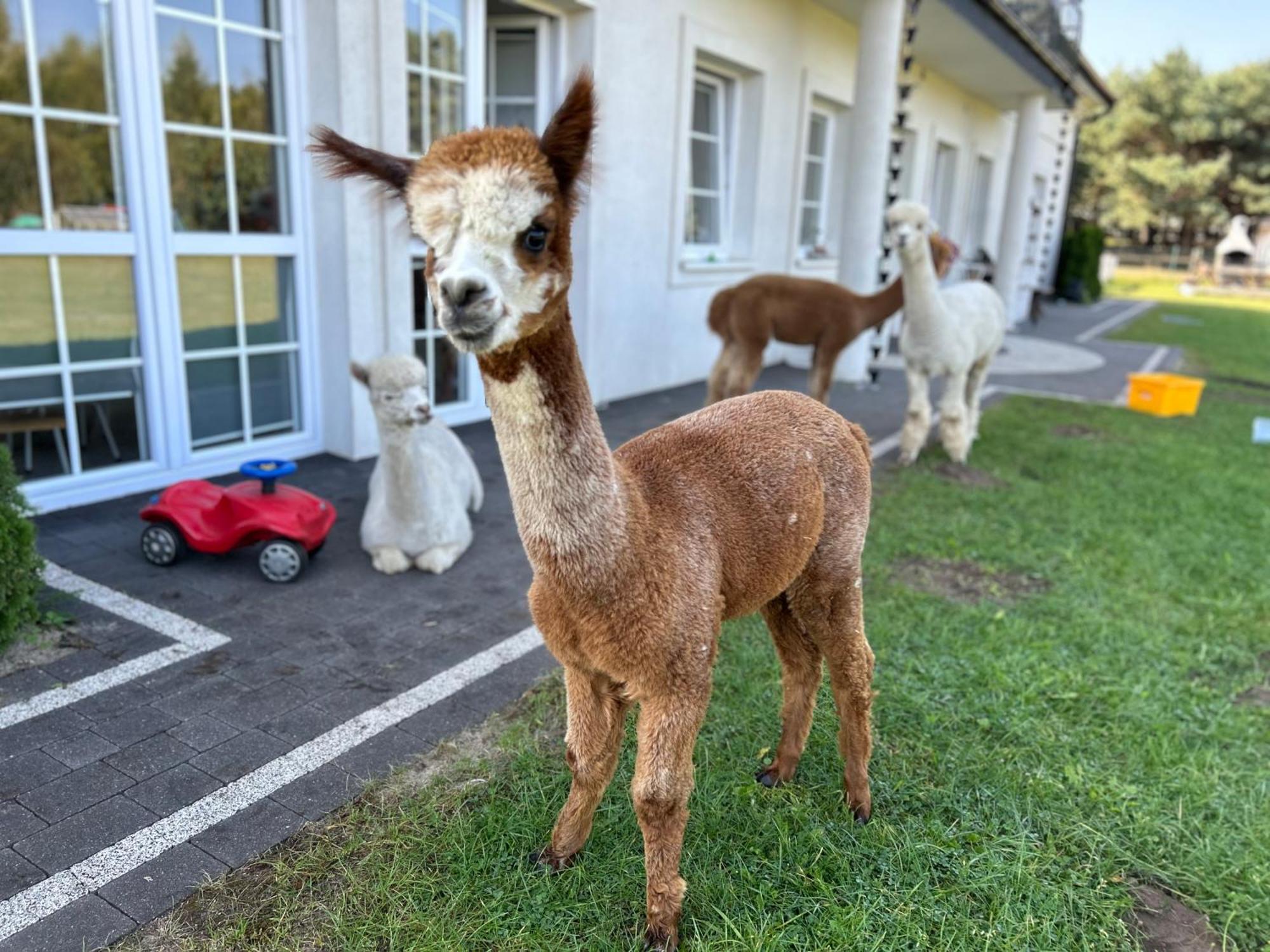 Apartamenty Gora Neustadt in Westpreußen Exterior foto
